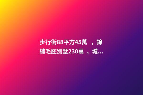 步行街88平方45萬，錦繡毛胚別墅230萬，城南自建房273平帶院165萬